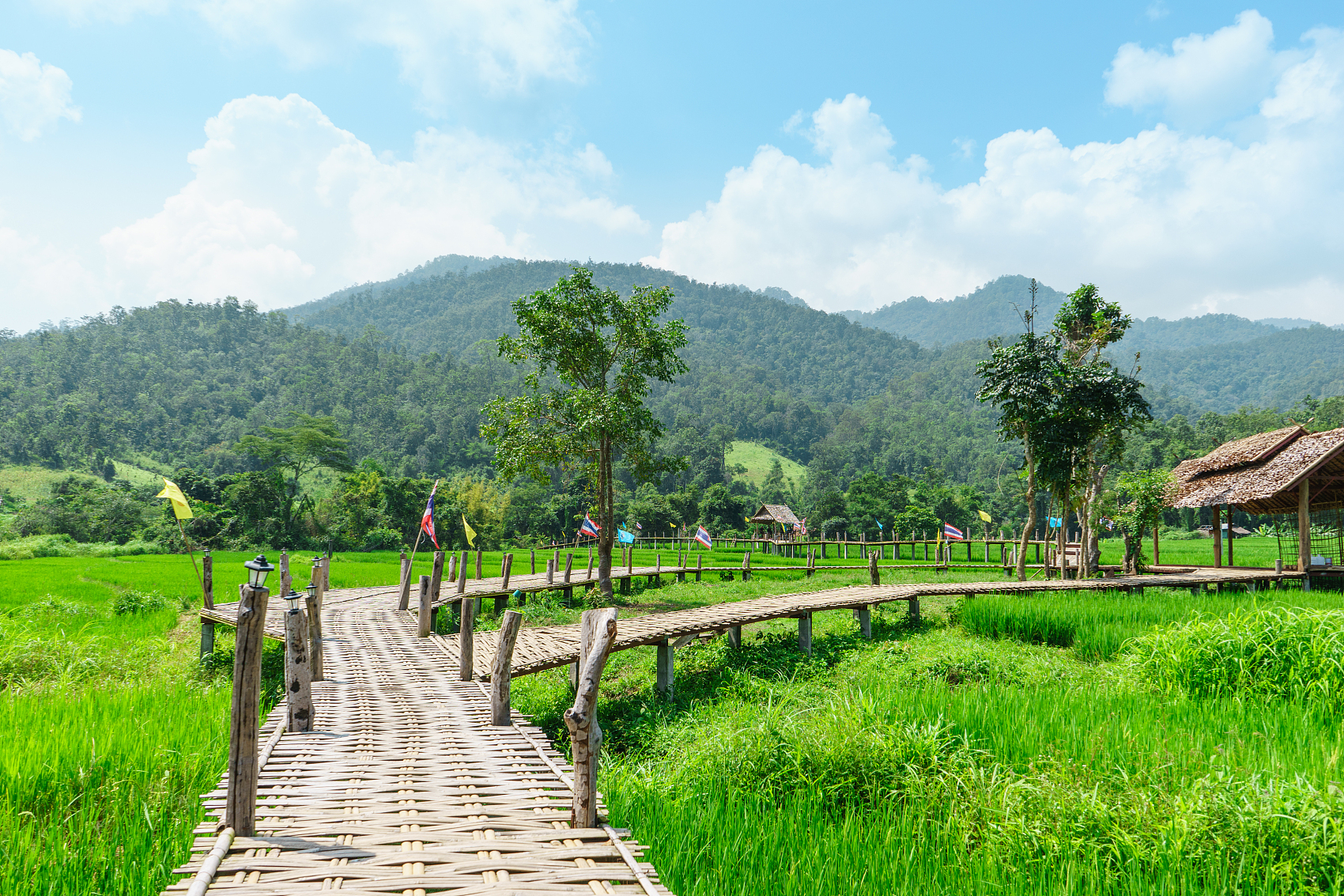 鄉(xiāng)村旅游